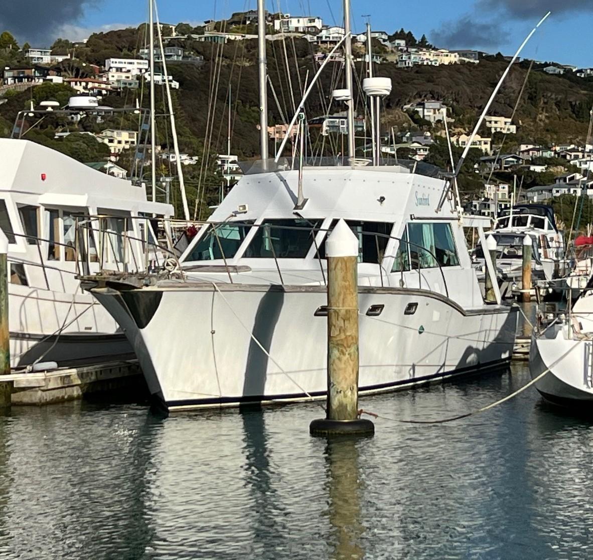 Pelin Challenger - Image 1