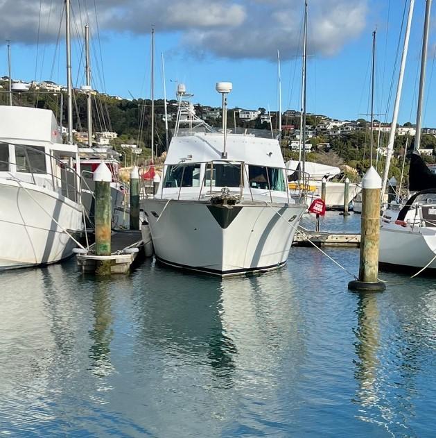 Thumbnail 3 - Pelin Challenger