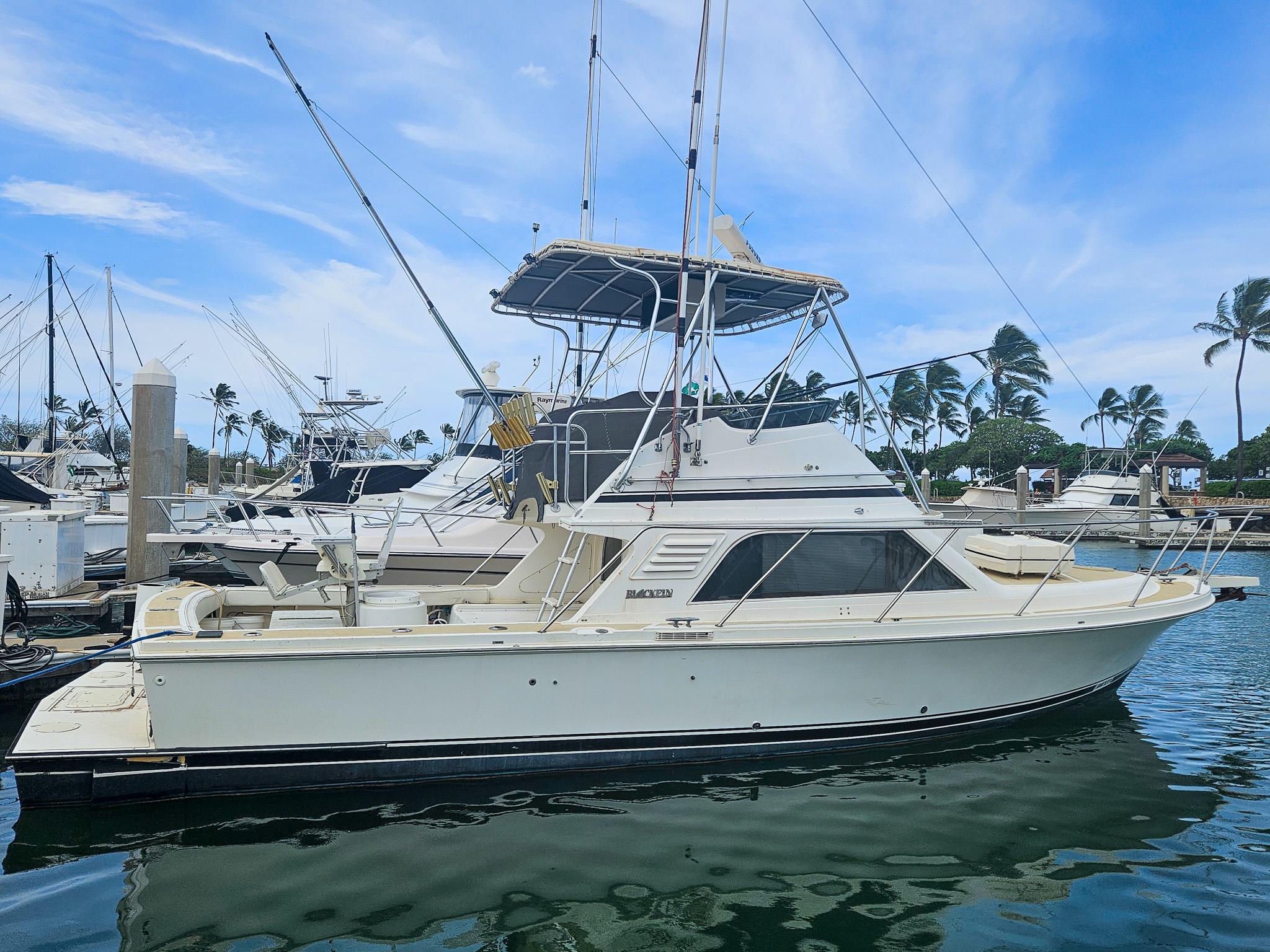 Blackfin 33 Convertible