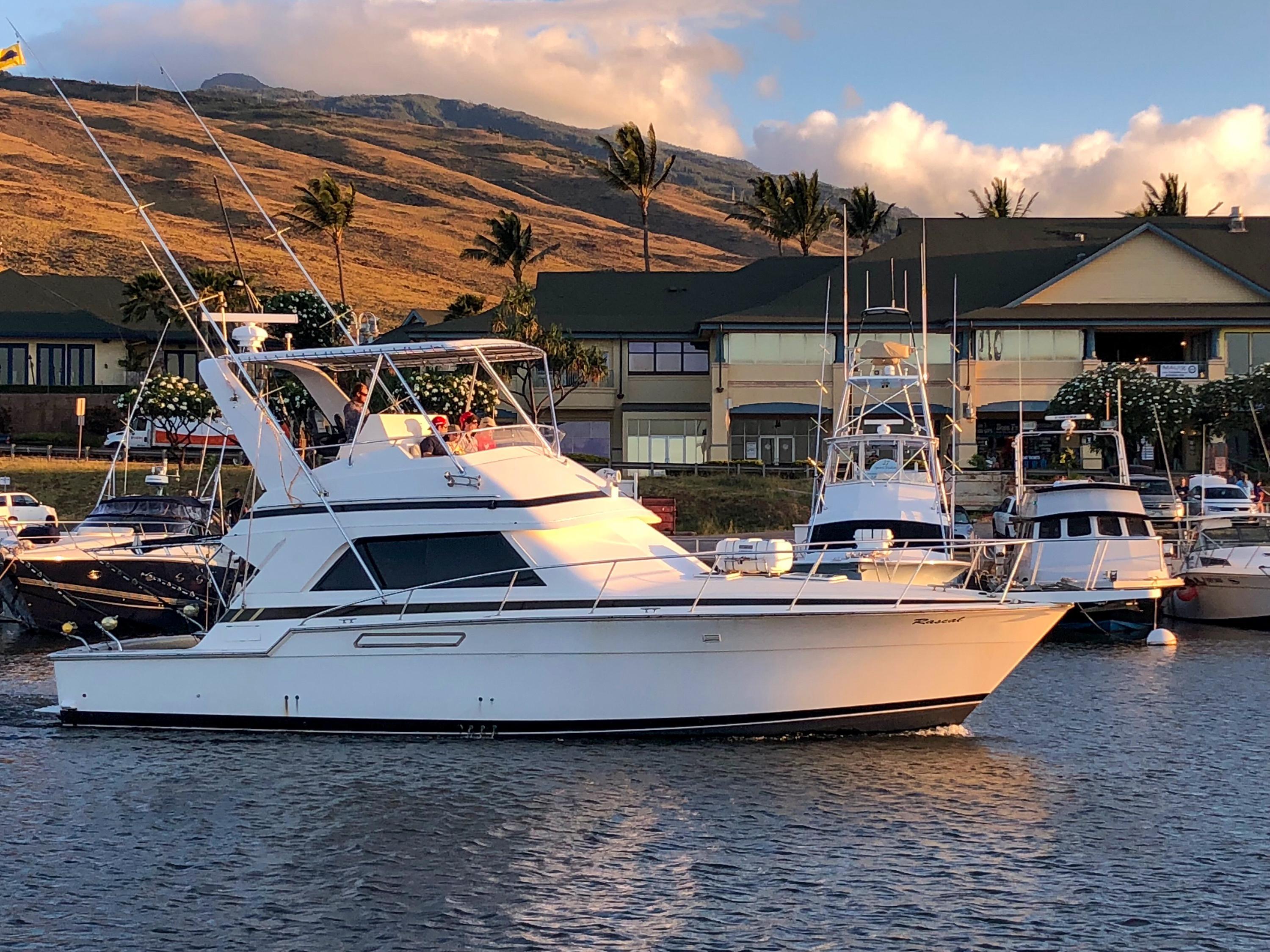 Bertram 43 Convertible