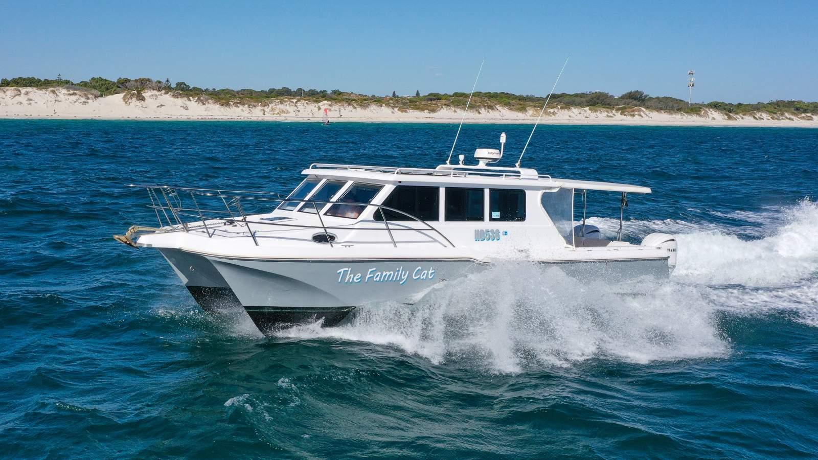 Cougar Cat 34