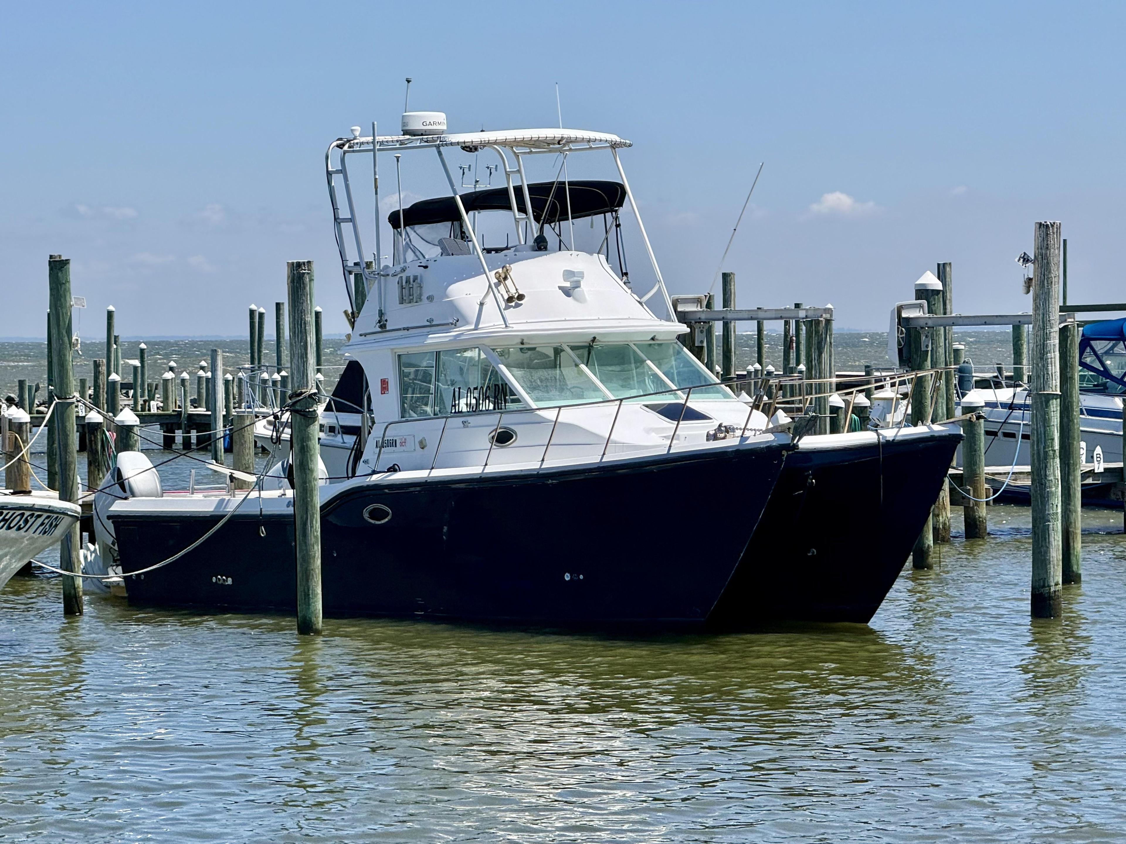 Baja Cruisers King Cat 340
