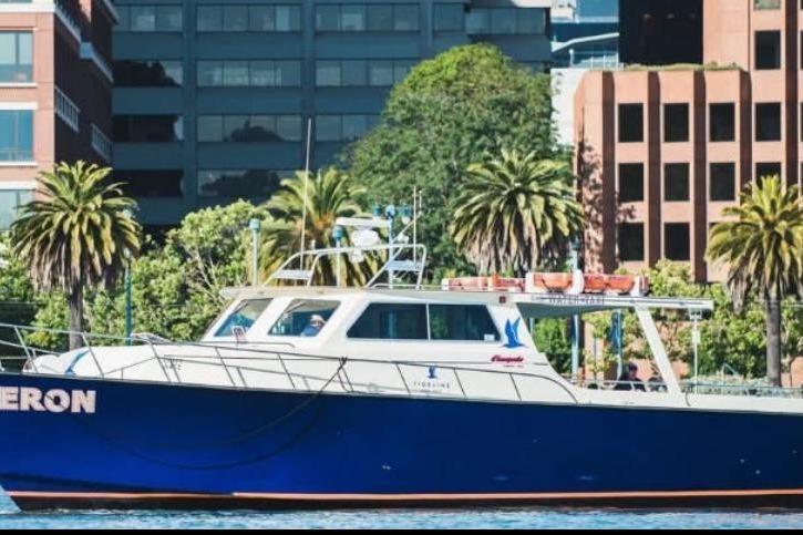 2005 Chesapeake USCG Certfied Passenger Vessel for sale