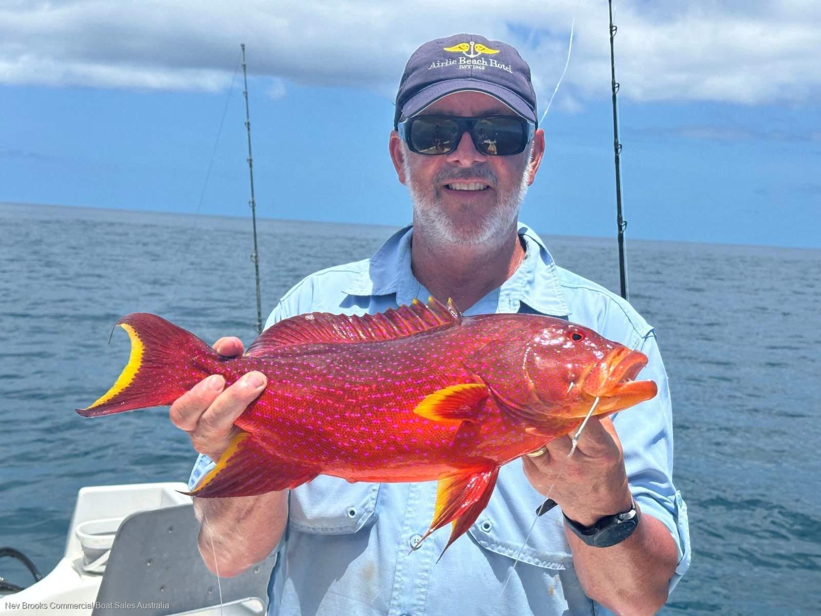2026 for sale in Whitsundays - Nev Brooks Commercial Boat Sales QLD