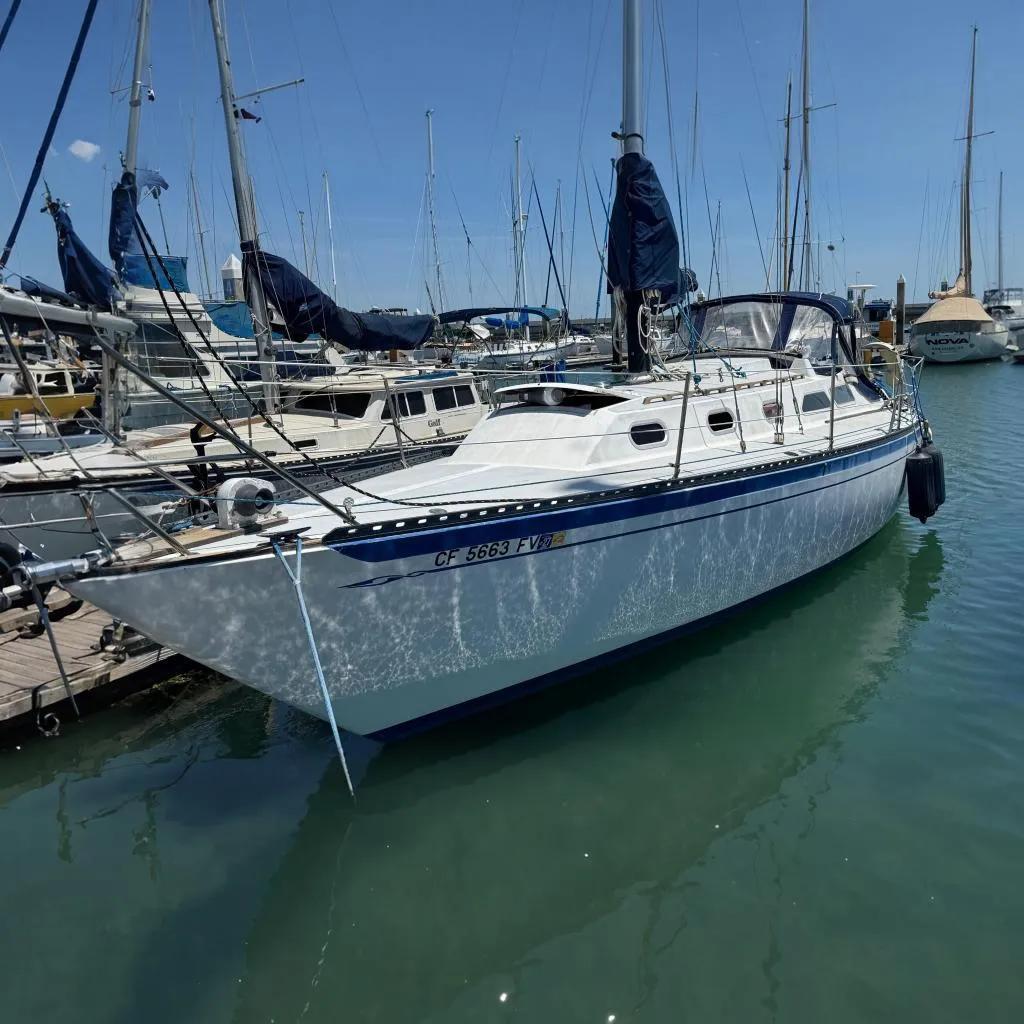1976 Islander 36 for sale in San Francisco, CA