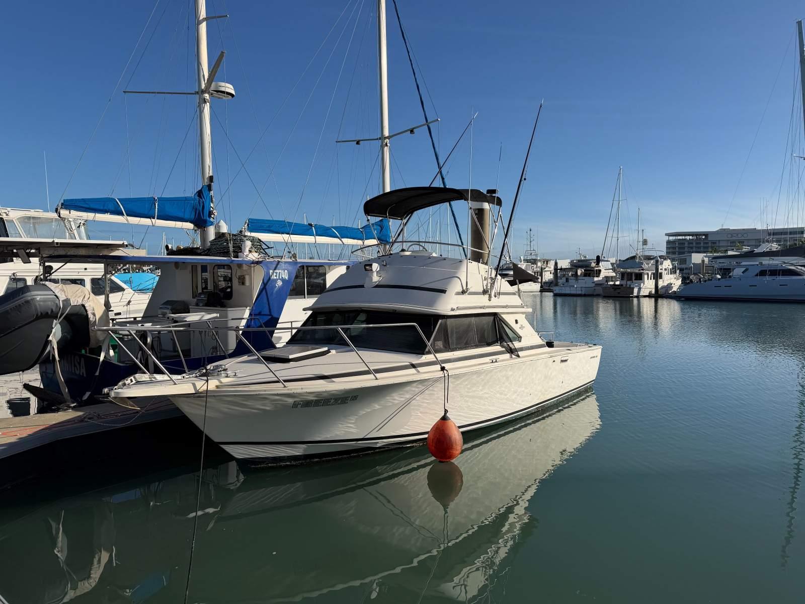 1989 Bertram 28 Flybridge for sale in Queensland