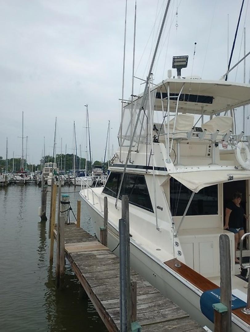 Viking 48 Convertible